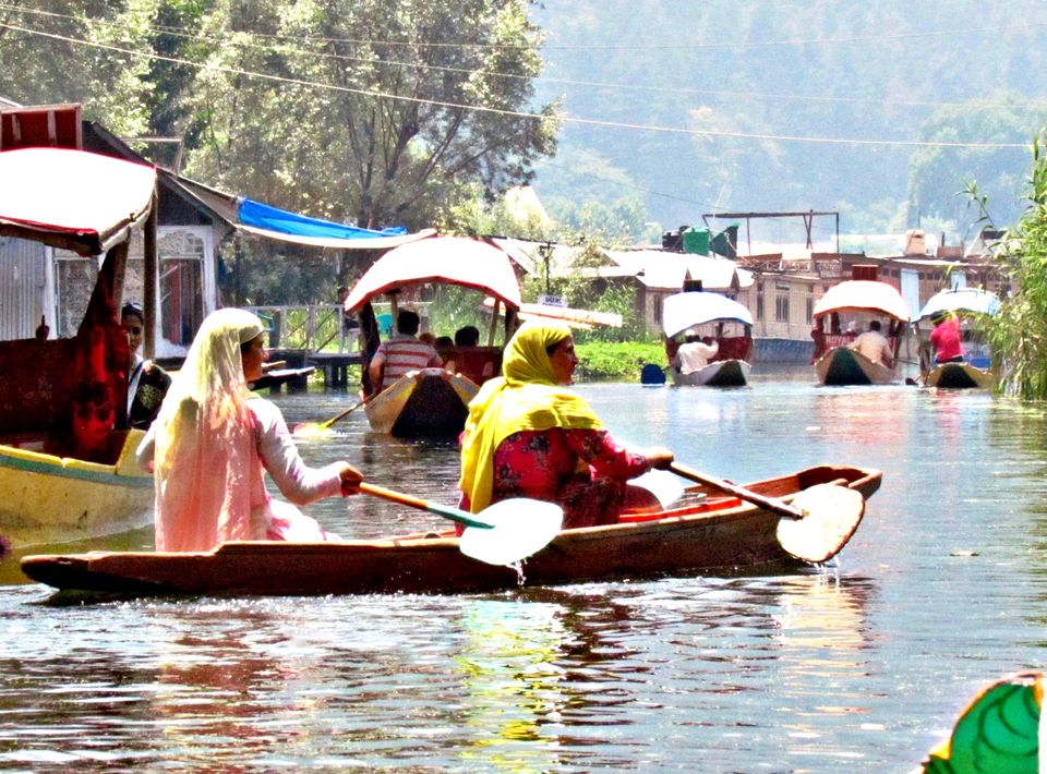 Photo of When I Visited Heaven on Earth, Kashmir 28/36 by Sudip Majumder