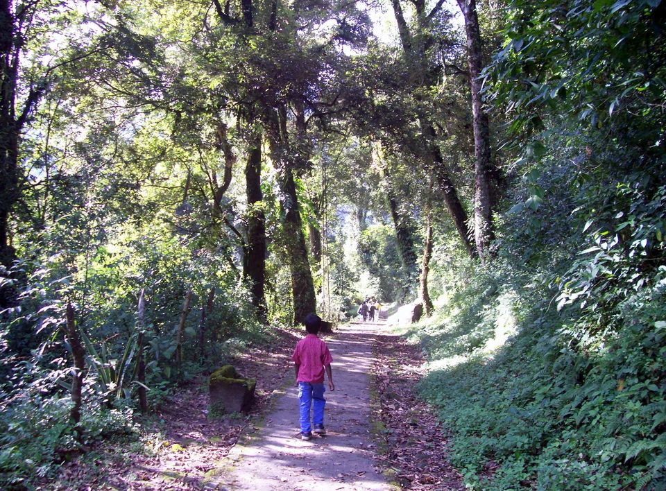 Photo of SIKKIM---A MUST VISIT DESTINATION IN THE HIMALAYAS…. 9/10 by Sudip Majumder