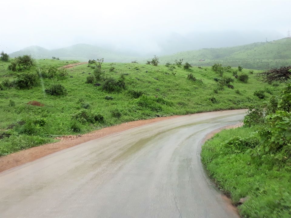 Photo of SALALAH---A DESERT TRANSFORMED TO A MISTY GREENLAND IN OMAN 1/17 by Sudip Majumder