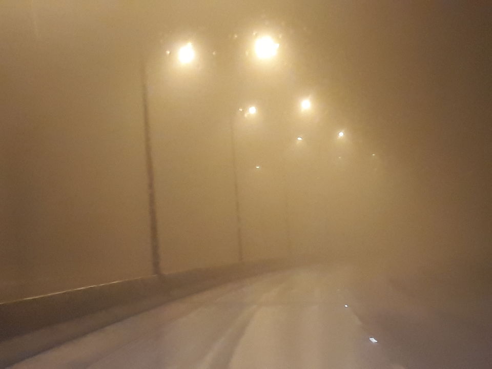 Photo of SALALAH---A DESERT TRANSFORMED TO A MISTY GREENLAND IN OMAN 3/17 by Sudip Majumder