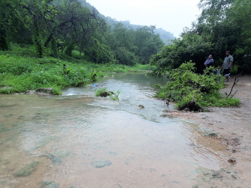 Photo of SALALAH---A DESERT TRANSFORMED TO A MISTY GREENLAND IN OMAN 6/17 by Sudip Majumder