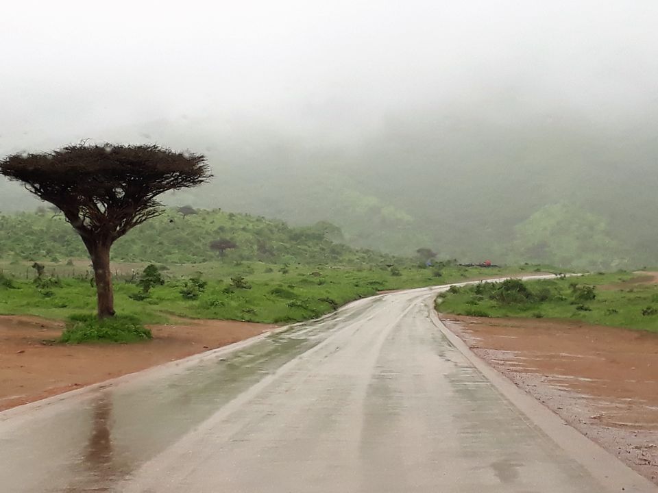 Photo of SALALAH---A DESERT TRANSFORMED TO A MISTY GREENLAND IN OMAN 8/17 by Sudip Majumder