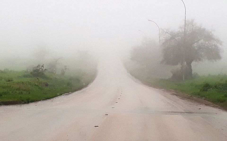 Photo of SALALAH---A DESERT TRANSFORMED TO A MISTY GREENLAND IN OMAN 14/17 by Sudip Majumder