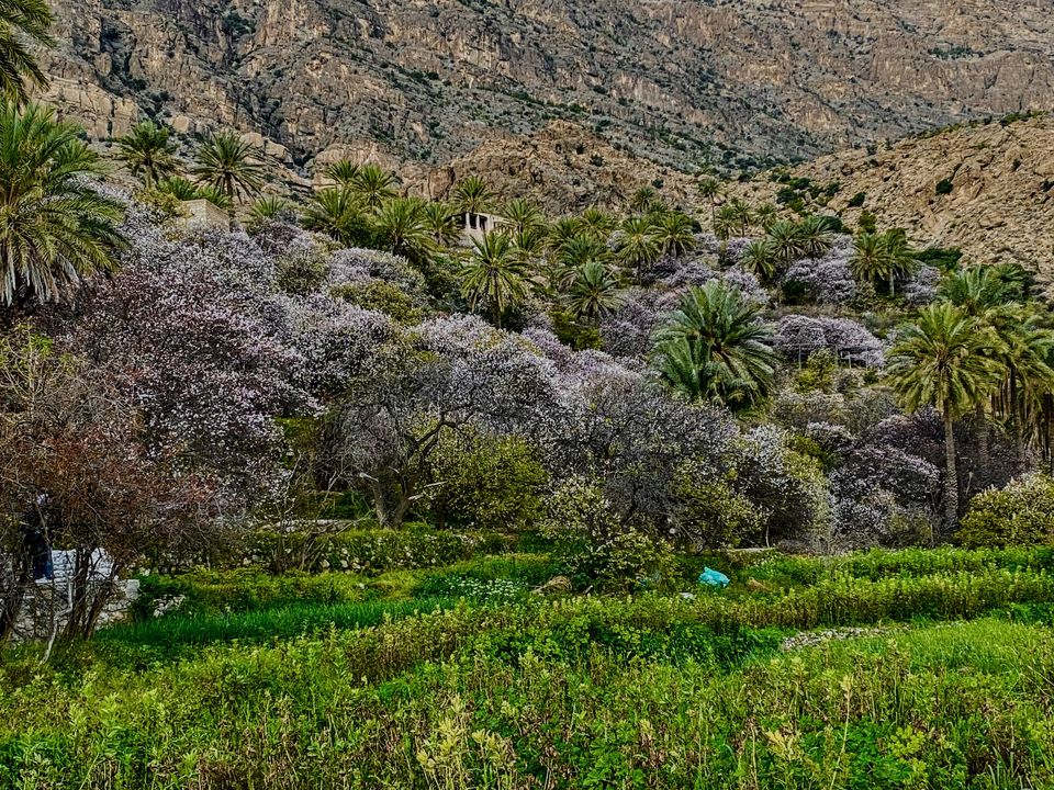 Photo of A Glimpse of a Mountain Village,Wakan in Oman. 9/9 by Sudip Majumder