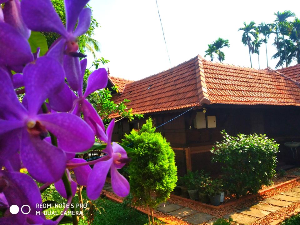 Photo of Aquabliss Resort, Alappuzha, Kerala, India by Neethu Sarah Alexander