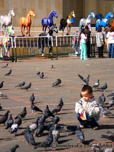 Photo of Plaza de Bolívar, Marly, Bogotá - Bogota, Colombia by Cristina Luisa