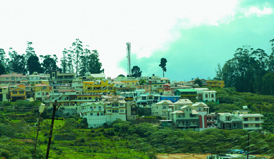 Photo of Ooty: Lush greenery with bountiful adventures 3/5 by Bhavya