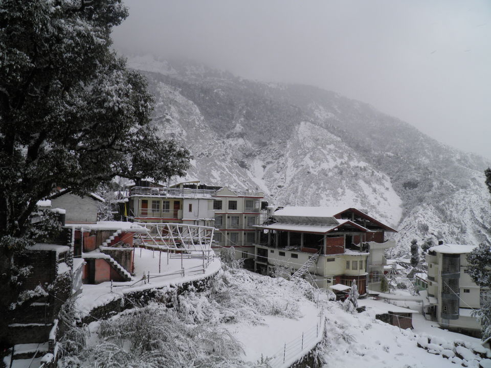 Photo of McLeod Ganj, Himachal Pradesh, India by Tasneem Merchant