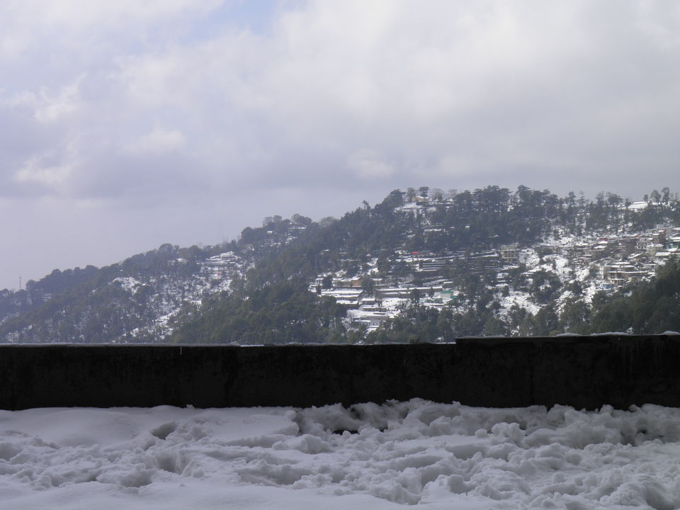 Photo of McLeod Ganj, Himachal Pradesh, India by Tasneem Merchant