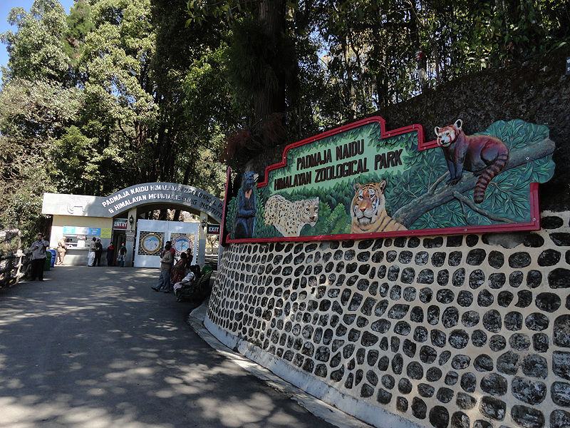 Photo of More Than Just A Tea Break: Serene Darjeeling 3/10 by Tasneem Merchant