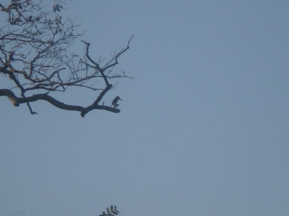 Photo of Gorgeous Gokarna 5/14 by Anuradha Saha