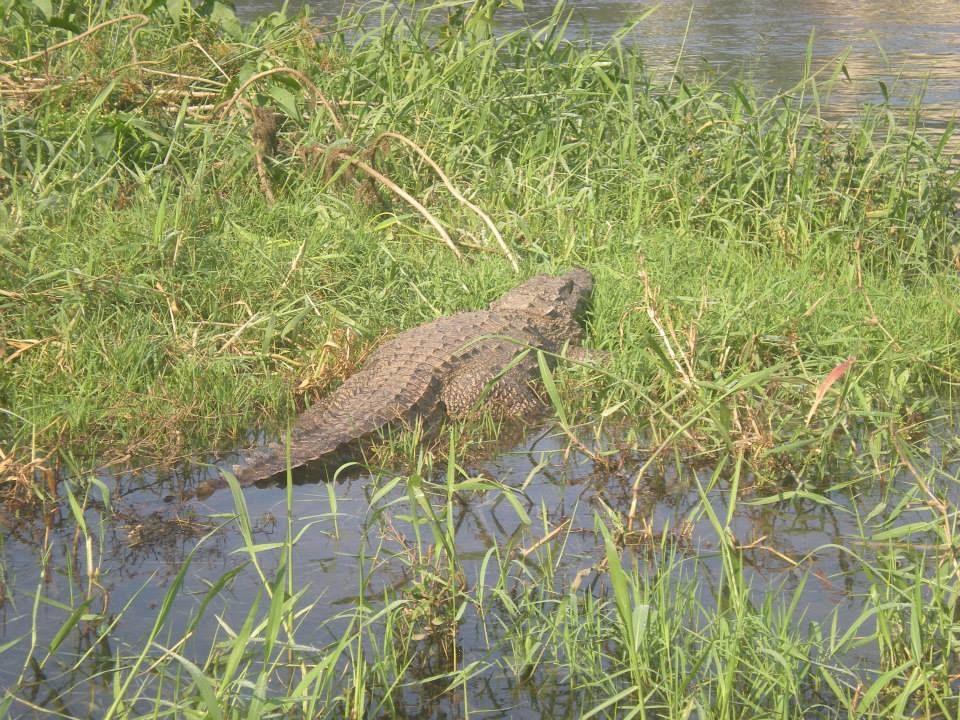Photo of Daredevil Dandeli 2/6 by Anuradha Saha