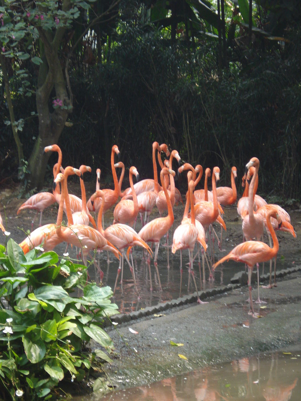 Photo of Singapore Sojourn 4/48 by Anuradha Saha
