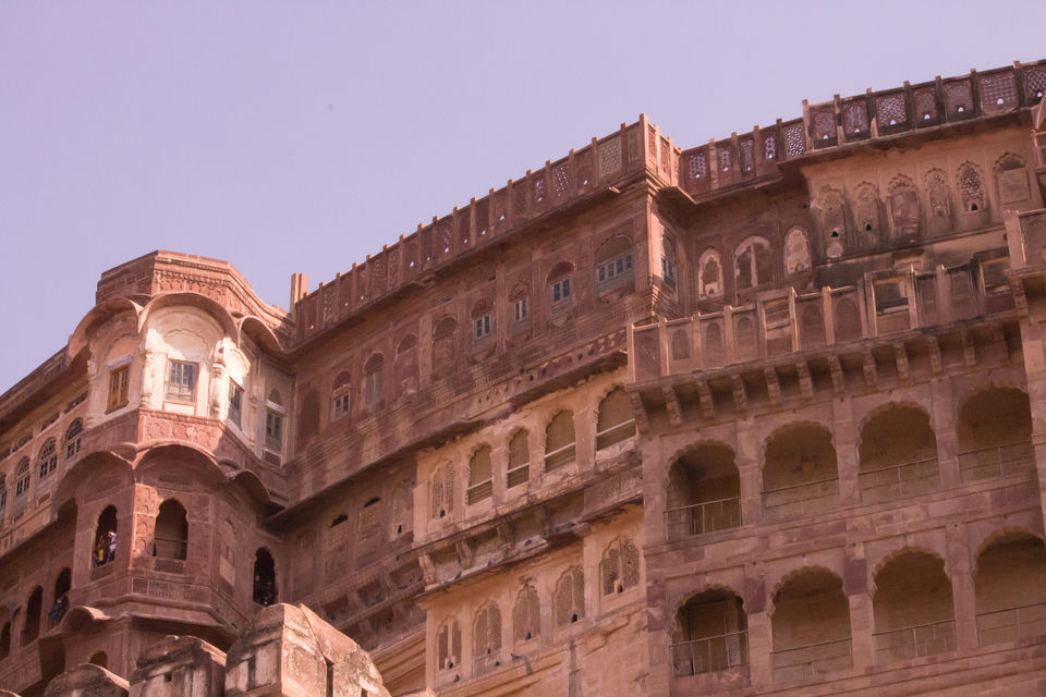 Photo of Jodhpur, Rajasthan, India by Sindhu Pai