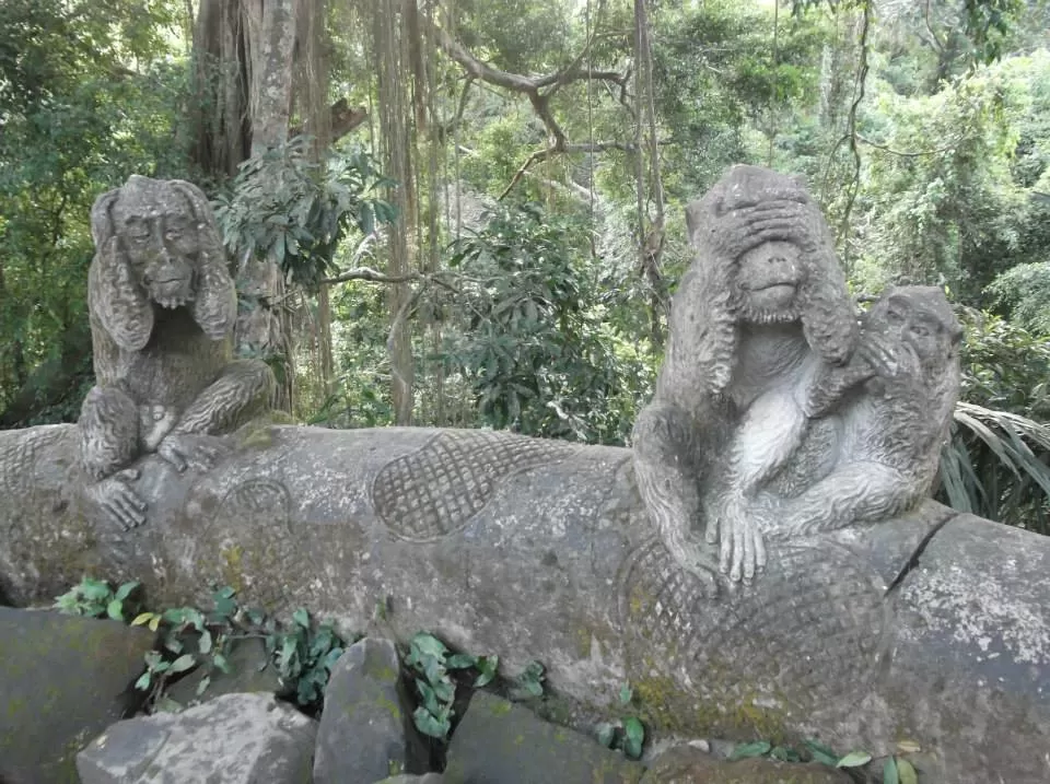 Photo of Jalan Monkey Forest, Ubud, Bali, Indonesia by Faye Rodrigues