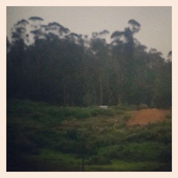 Photo of Ooty, Tamil Nadu, India by Alisha Nanda