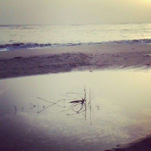 Photo of Alleppey, Kerala, India by Alisha Nanda