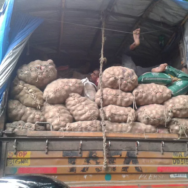 Photo of Goa, India by Alisha Nanda