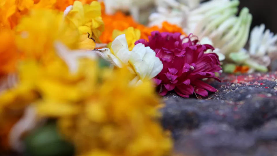 Photo of Pune, Maharashtra, India by Alisha Nanda