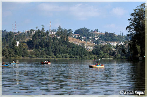 Photo of Ooty, Tamil Nadu, India by Alisha Nanda
