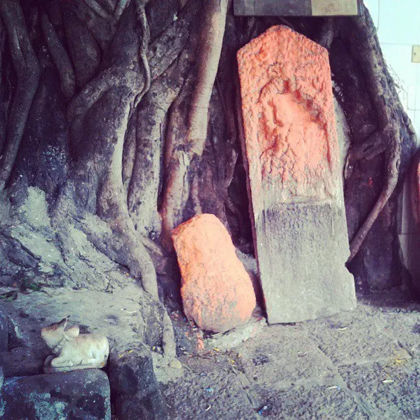 Photo of Mumbai, Maharashtra, India by Alisha Nanda