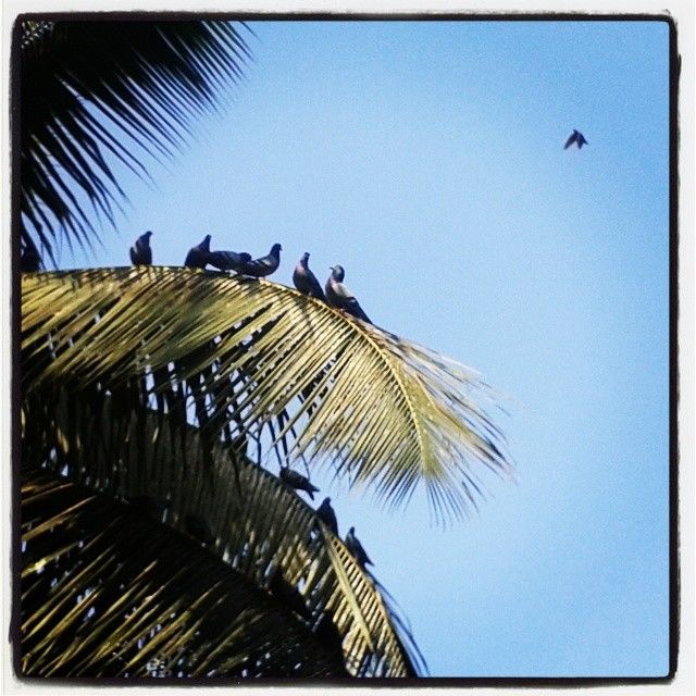 Photo of Chilling, Clicking, hogging, loving trip to Lavasa 15/22 by Alisha Nanda