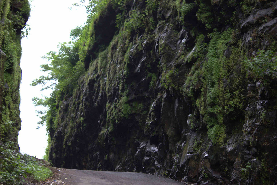 Photo of Chilling, Clicking, hogging, loving trip to Lavasa 19/22 by Alisha Nanda