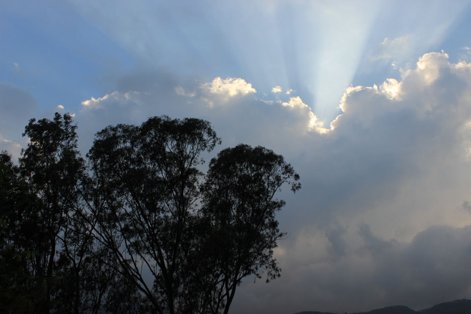 Photo of Chilling, Clicking, hogging, loving trip to Lavasa 1/22 by Alisha Nanda