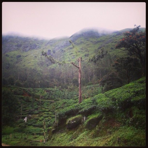 Photo of Exploring south India on 2 wheels! 72/94 by Alisha Nanda