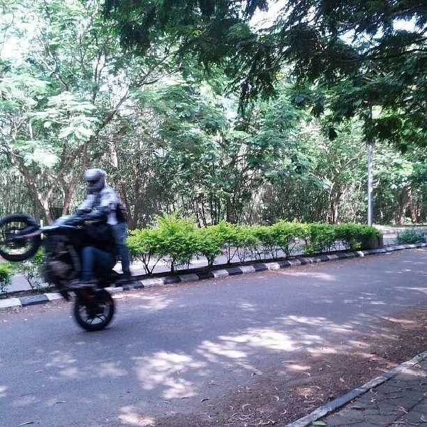 Photo of Exploring south India on 2 wheels! 61/94 by Alisha Nanda