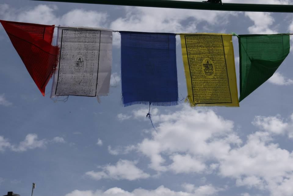 Photo of Snow Clad Mountains of Mcleodganj 50/51 by Kashika Madaan
