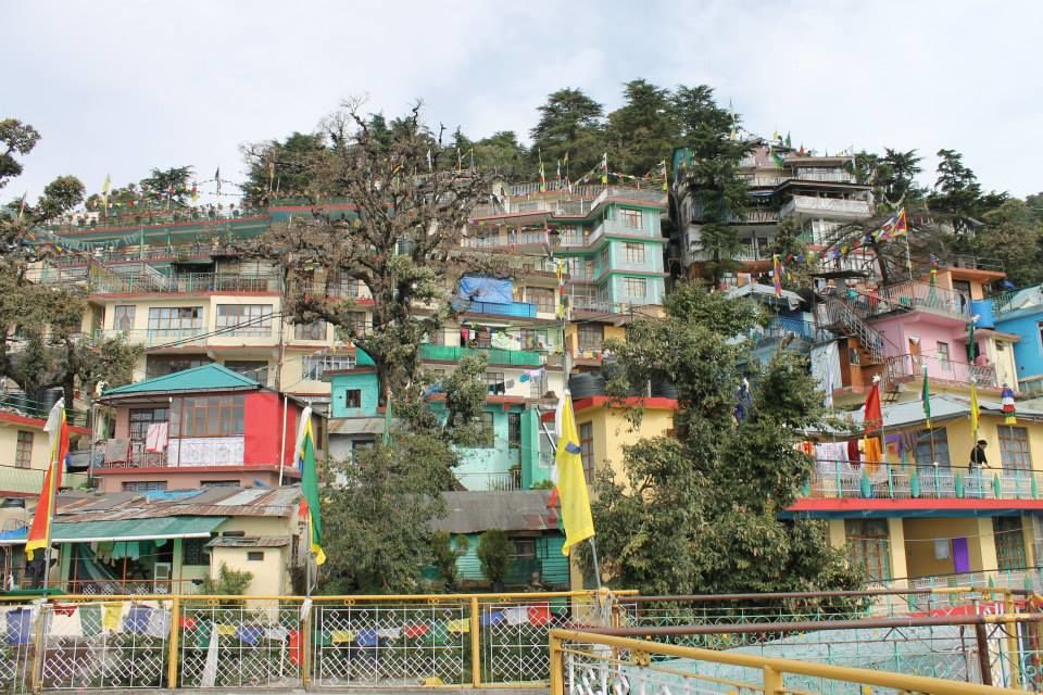 Photo of Snow Clad Mountains of Mcleodganj 5/51 by Kashika Madaan