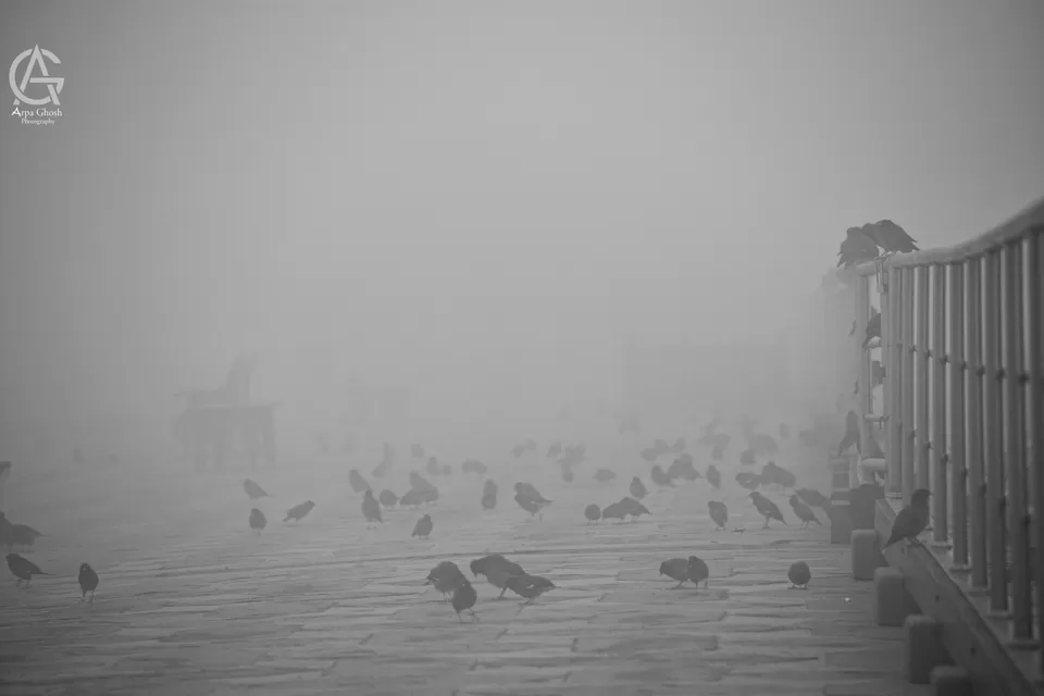 Photo of A Different Taj by arpa ghosh