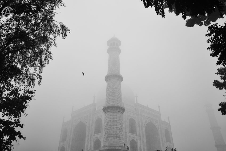 Photo of A Different Taj by arpa ghosh