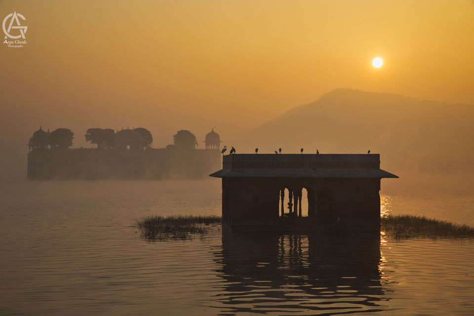 Photo of Jal Mahal ~ A Magnificent Lake Palace by arpa ghosh