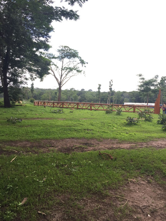 Photo of Dubare Elephant Camp by Abinaya Hariharan