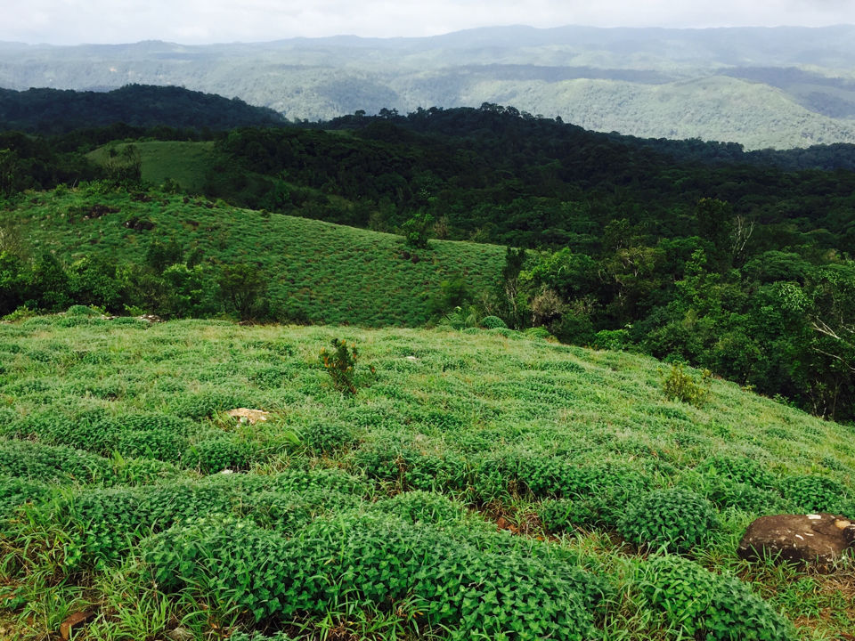 Photo of Mandalpatti by Abinaya Hariharan