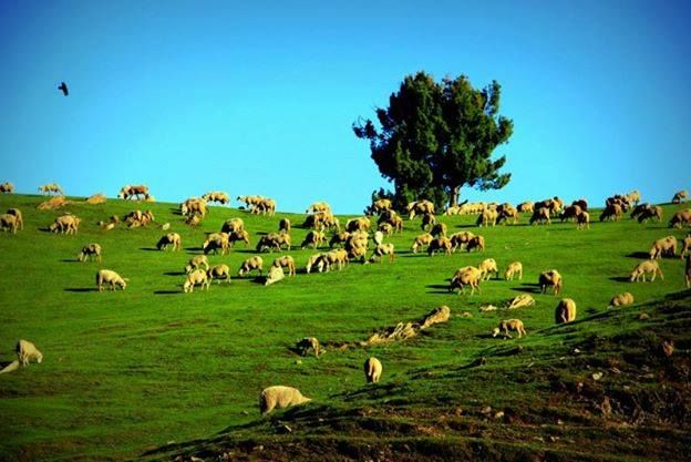 Photo of Go Gurez 18/31 by Jibran Khan