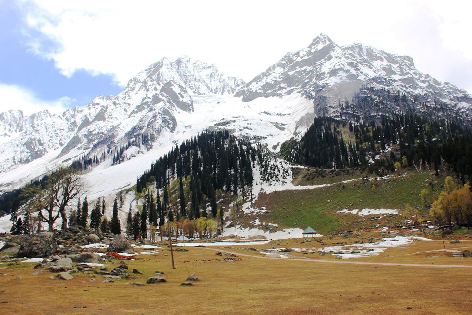 Photo of Scintillating Sonmarg 19/19 by Jibran Khan