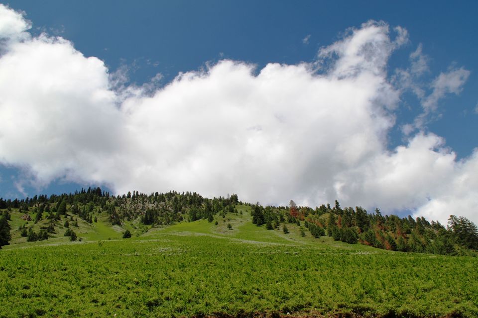 Photo of "Gurez Unexplored" 20/23 by Jibran Khan
