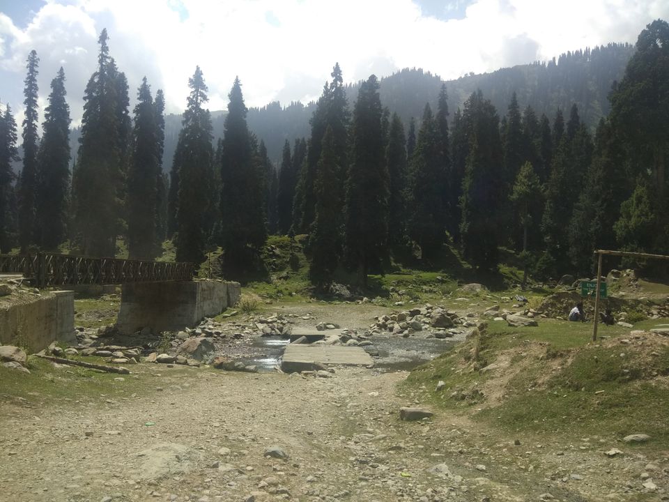 Photo of Bota Pathri, Forest Block by Amir Farooq
