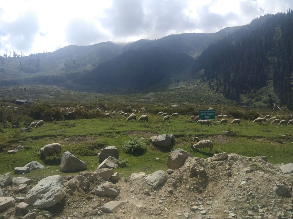 Photo of Bota Pathri, Forest Block by Amir Farooq