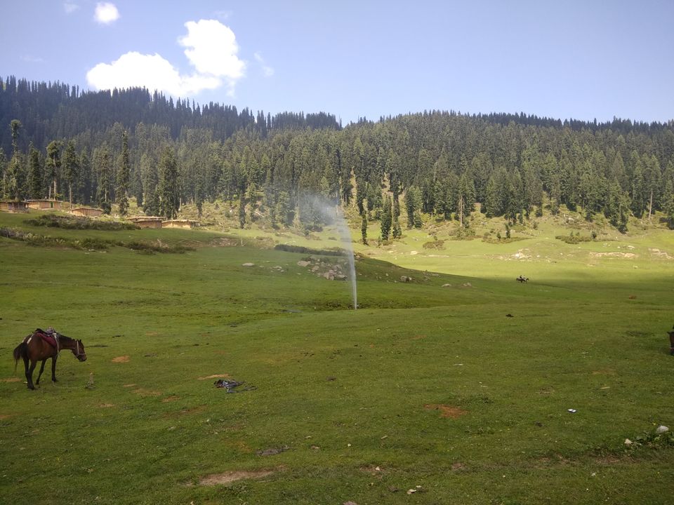 Photo of Bota Pathri, Forest Block by Amir Farooq
