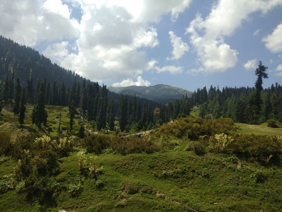 Photo of Bota Pathri, Forest Block by Amir Farooq