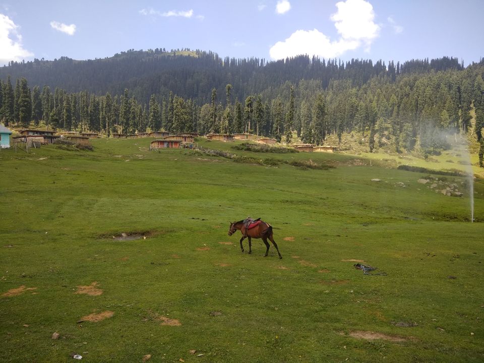 Photo of Bota Pathri, Forest Block by Amir Farooq