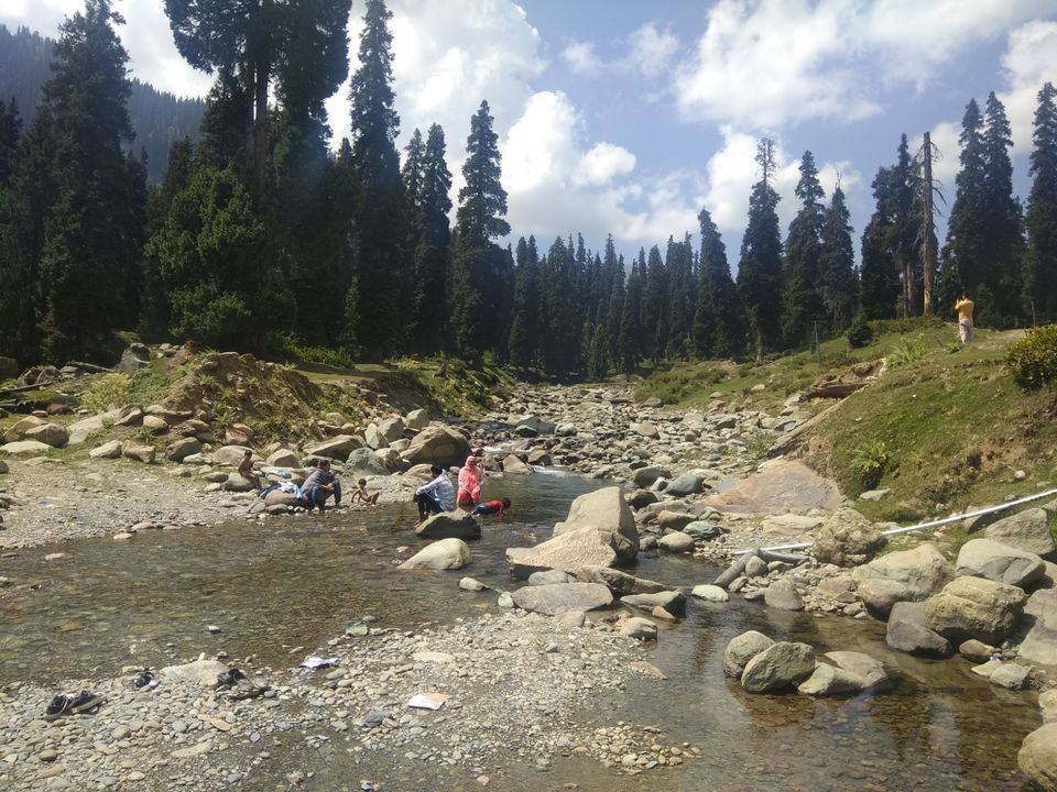 Photo of Bota Pathri, Forest Block by Amir Farooq