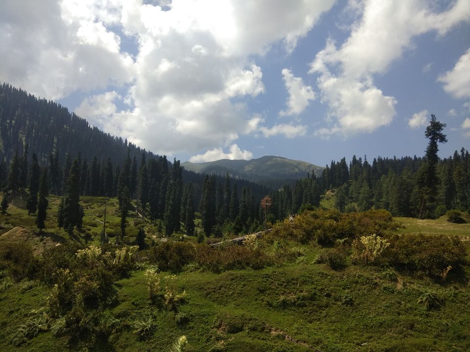 Photo of Bota Pathri, Forest Block by Amir Farooq