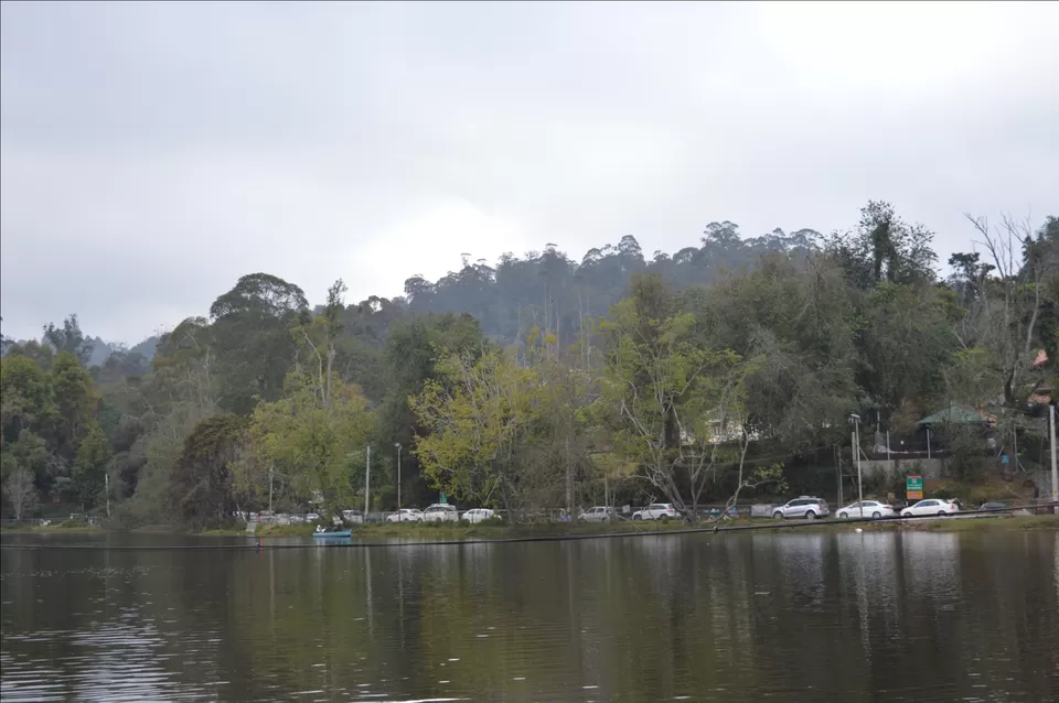 Photo of Kodaikanal, Tamil Nadu, India by Amir Farooq