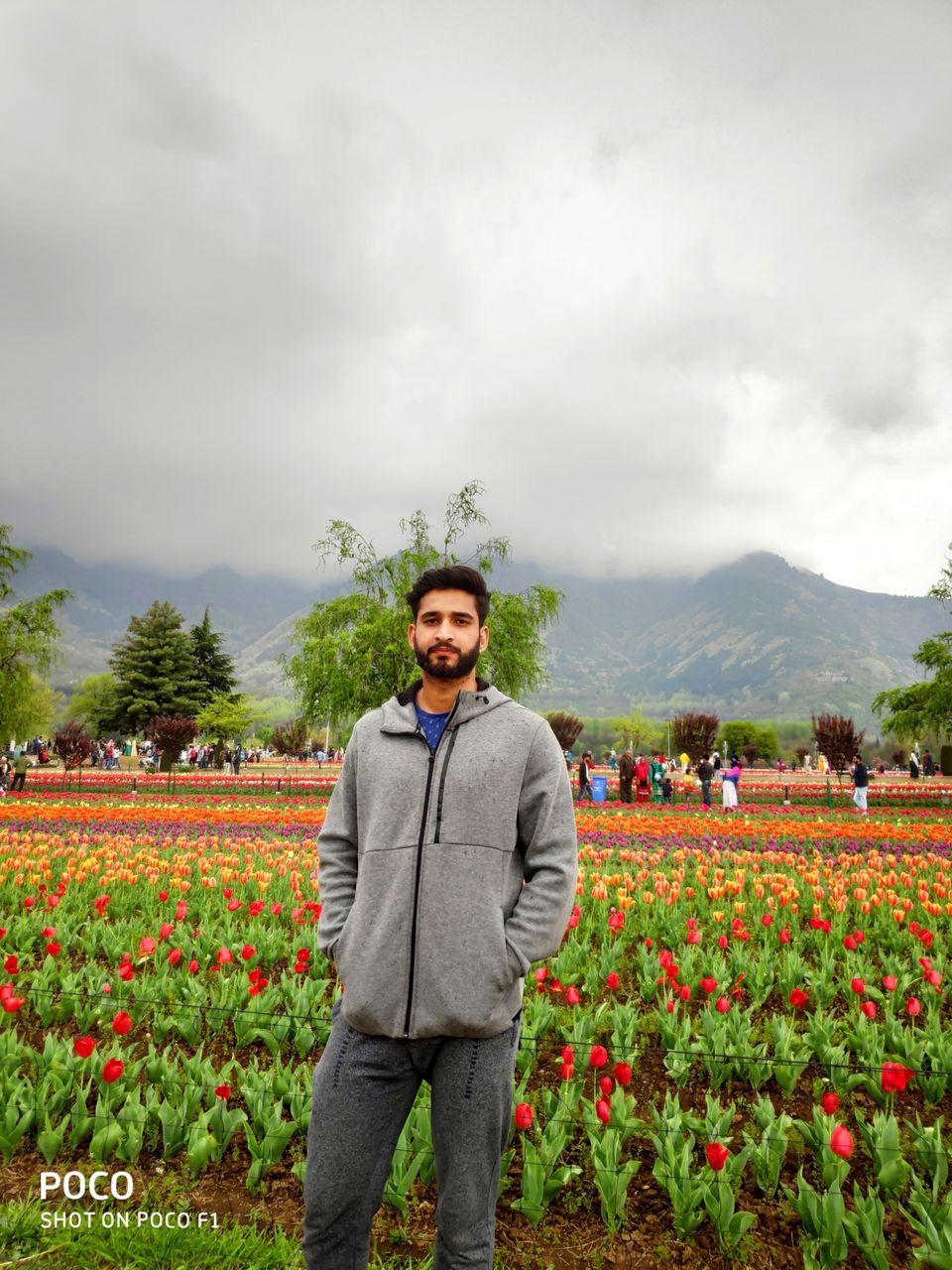 Photo of Tulip Garden Road, Srinagar by Amir Farooq
