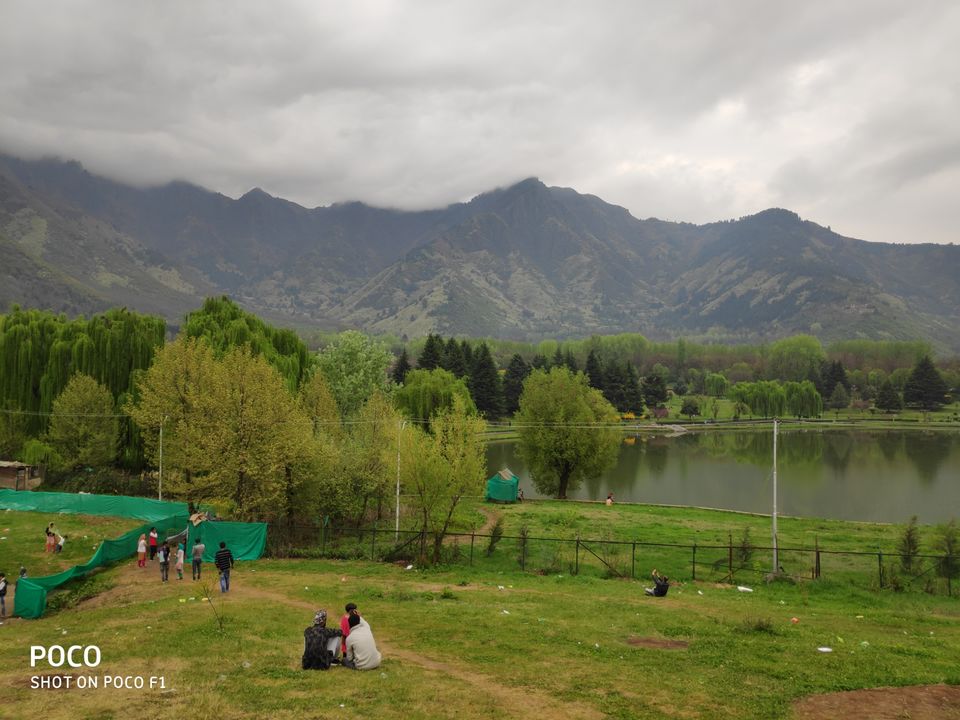 Photo of Tulip Garden Road, Srinagar by Amir Farooq